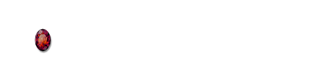 DVD/BD